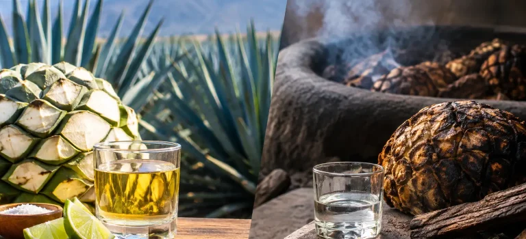 Tequila Versus Mezcal Production Explained