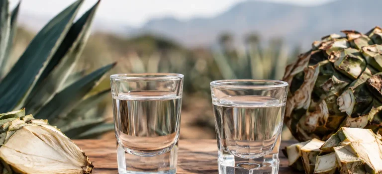 Raicilla Compared With Mezcal: What Changes?